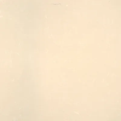 Aglostone Cream Sand